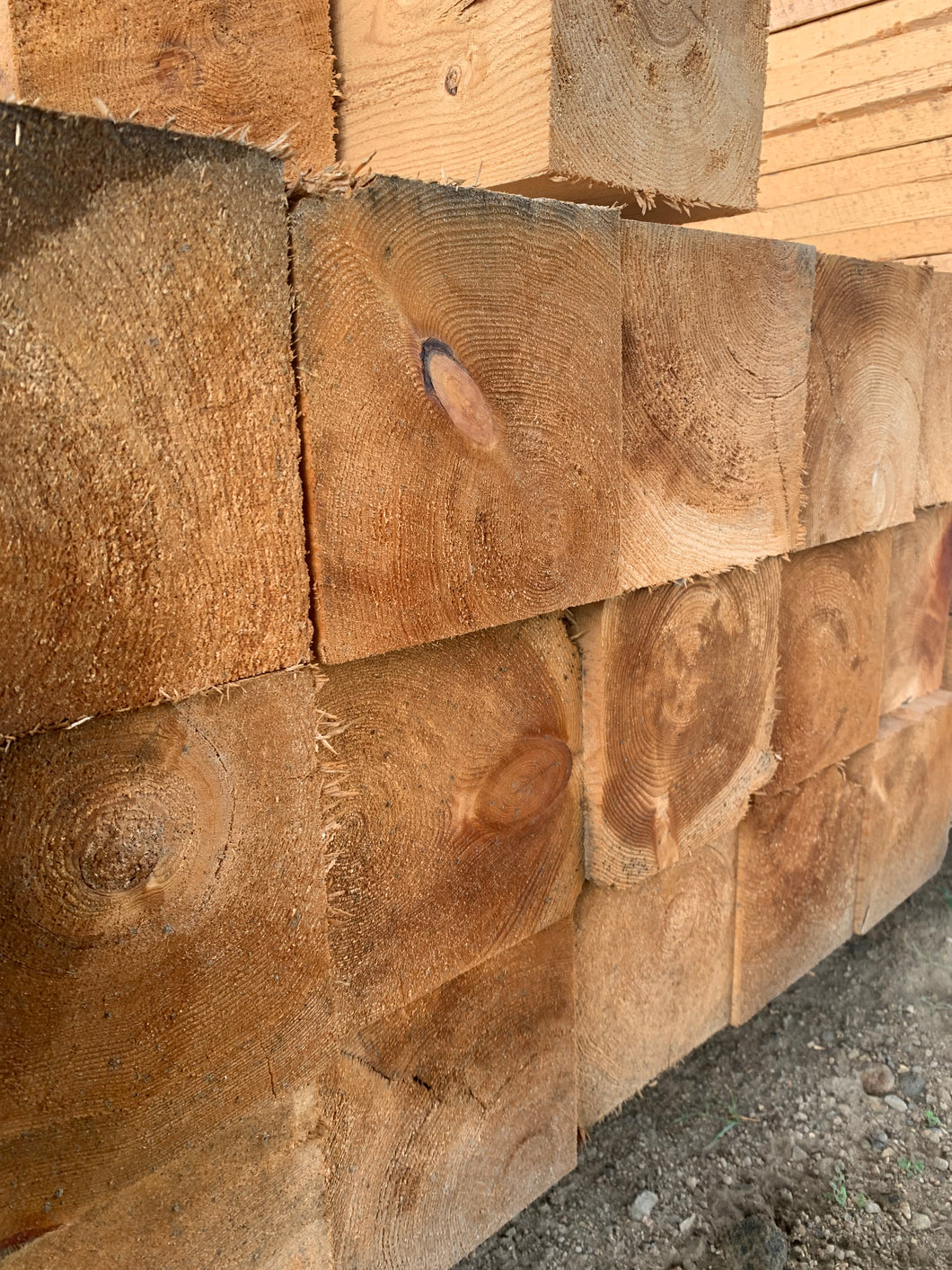 Hemlock Timber faces.