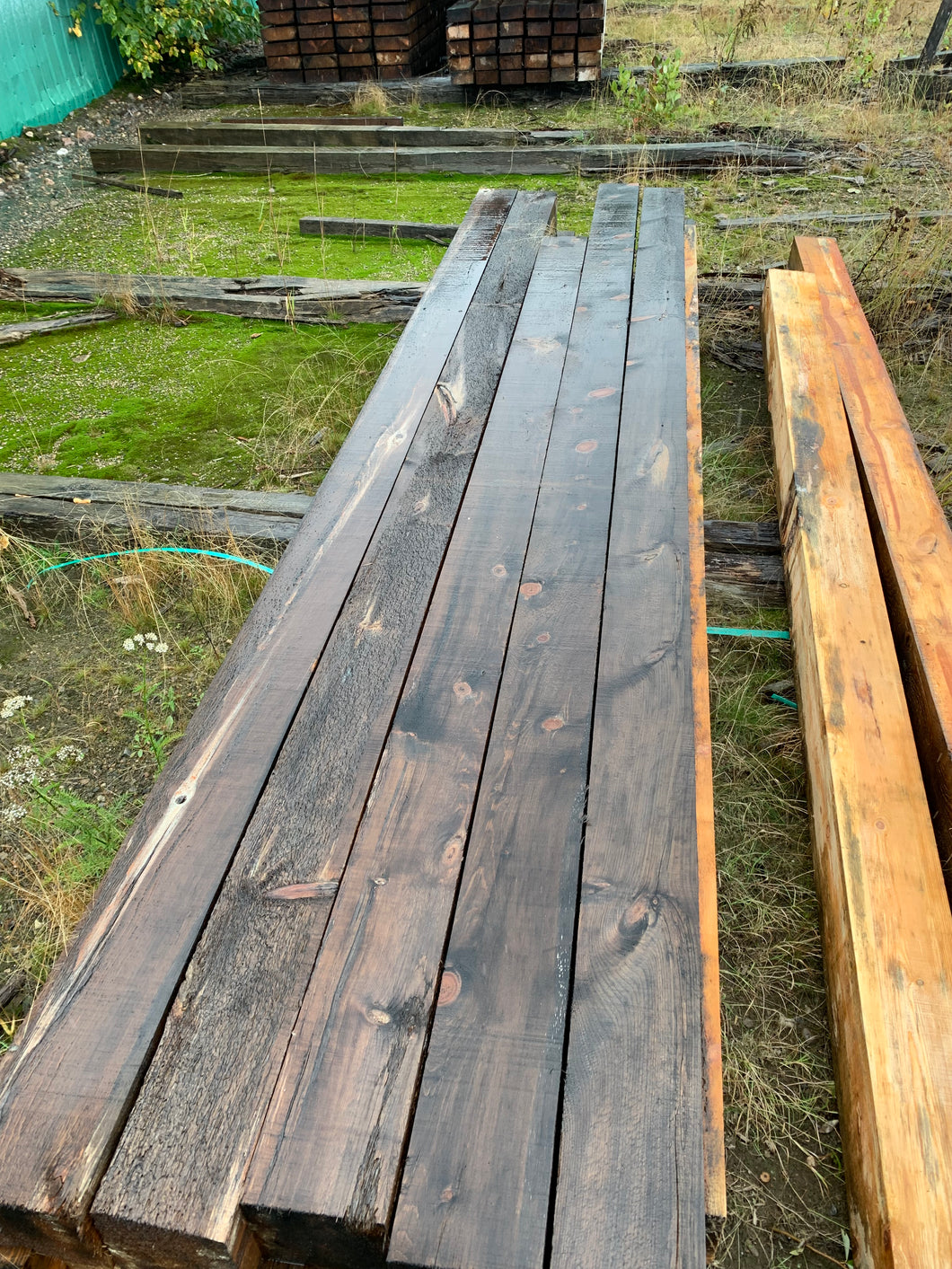 6 x 6 Rough Green White Pine Timbers